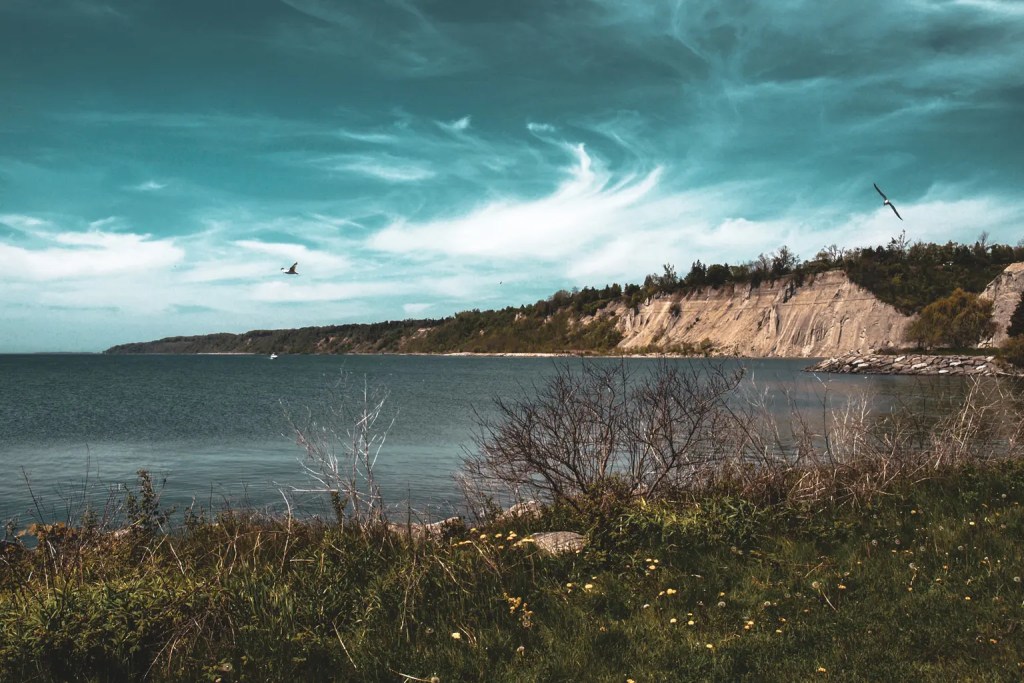 dramatic colouring of a cliffside beach and a bird flying in the distance