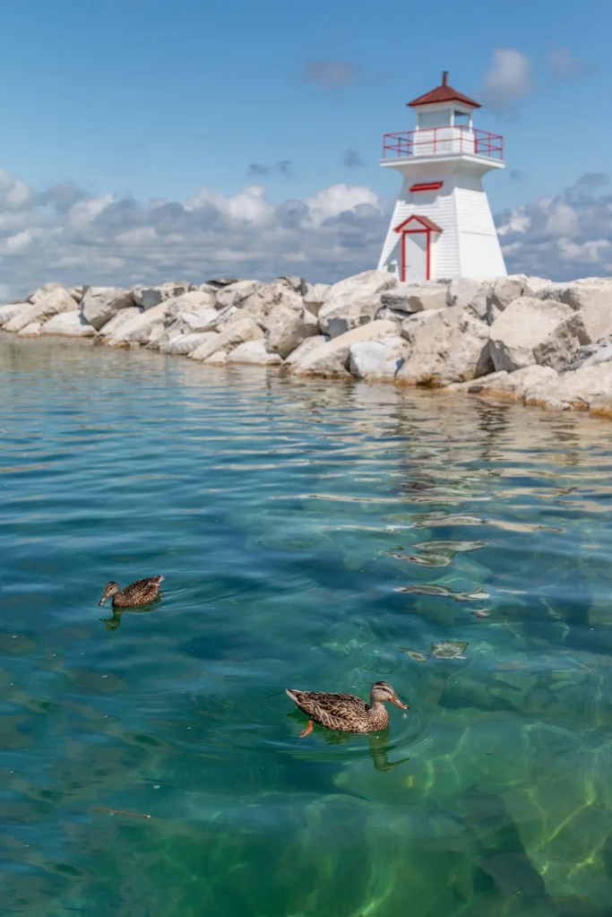 white lighthouse with red accents on a stone pathway, clear blue water and 2 floating ducks