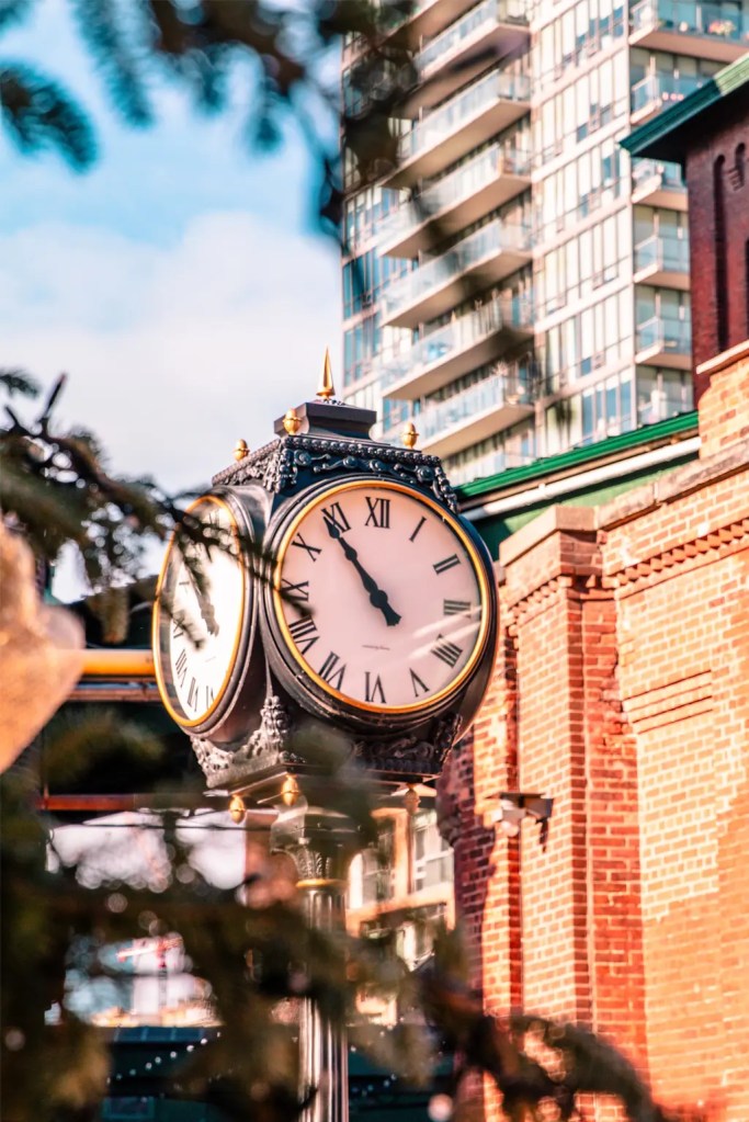 Antique clock in focus behind out of focus pine leaves