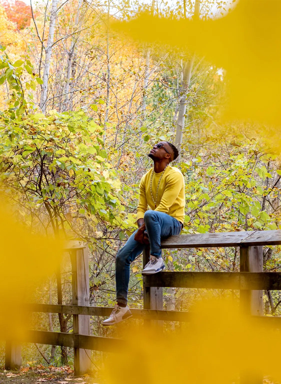 Between yellow out of focus leaves a man is visible in a yellow sweater and jeans while sitting on a fence and looking up in the forest